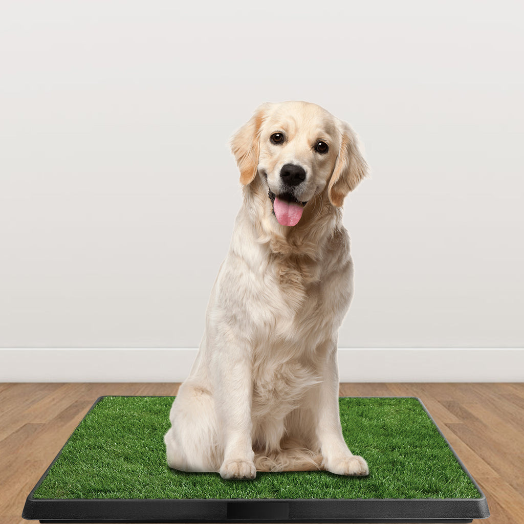 1Pc Dog Potty Training Artificial Grass Pad Pet Cat Toilet Trainer Mat Puppy Loo Tray Turf For Small Medium Dogs Indoor Outdoor Use