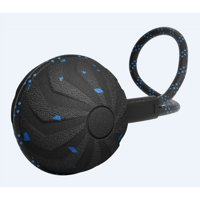 Electric Rolling Ball Pet Toy