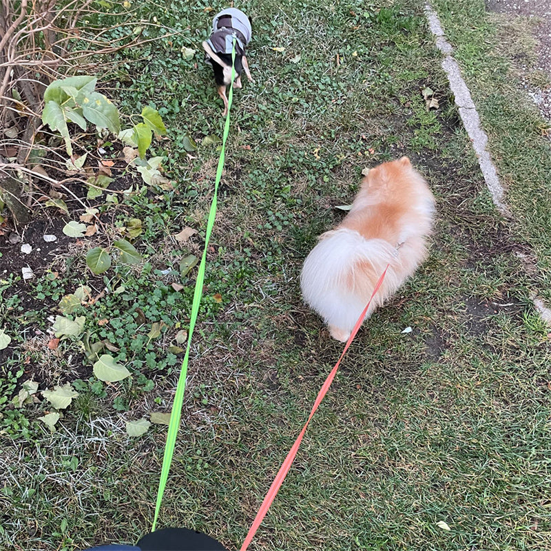 Reflective Dual Retractable Dog Leash with Lights